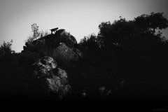 5N5A1394-©-SylverePetit