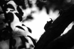 5N5A6881-©-SylverePetit