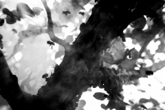 5N5A9968-©-SylverePetit