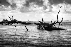IMG_5465-©-SylverePetit-scaled